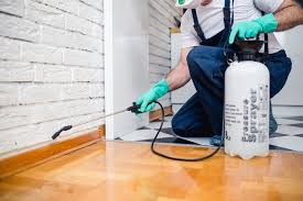 Best Residential Pest Control  in Corning, AR